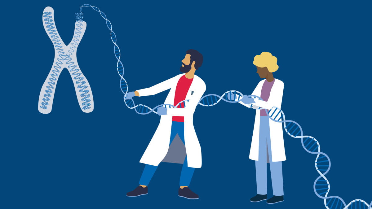High-Molecular Weight DNA 